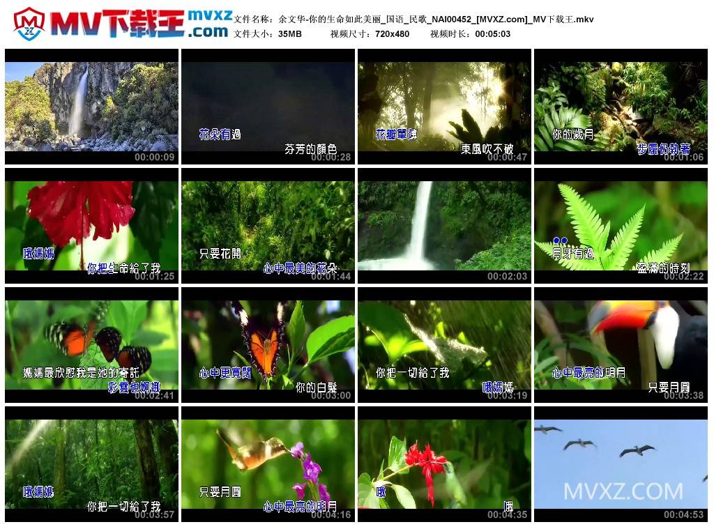 余文华-你的生命如此美丽_国语_民歌_NAI00452